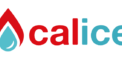 Calice Italia Calice Italia