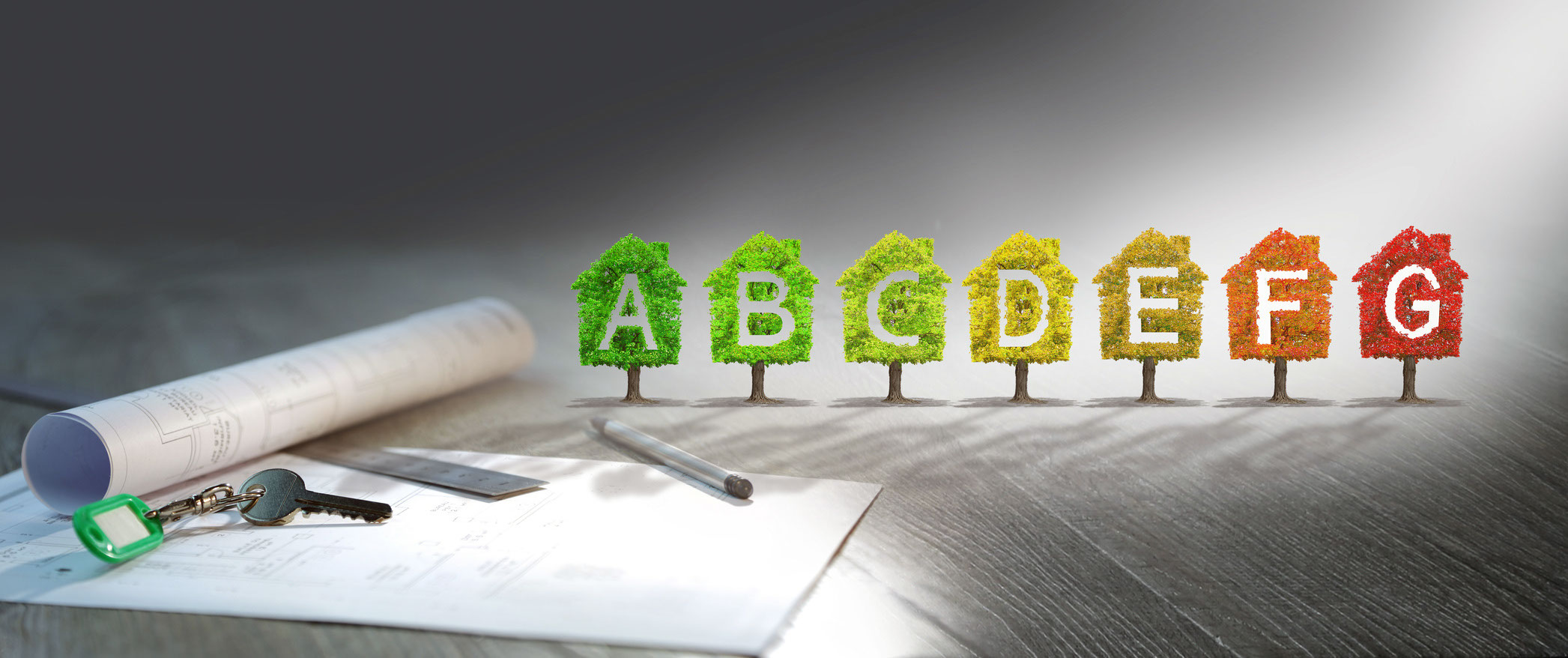 projet immobilier ,arbre,écologie